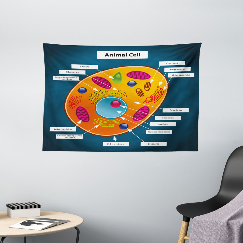 Science at School Wide Tapestry