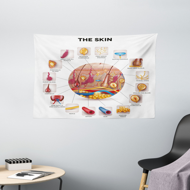 Skin Anatomy Veins Wide Tapestry