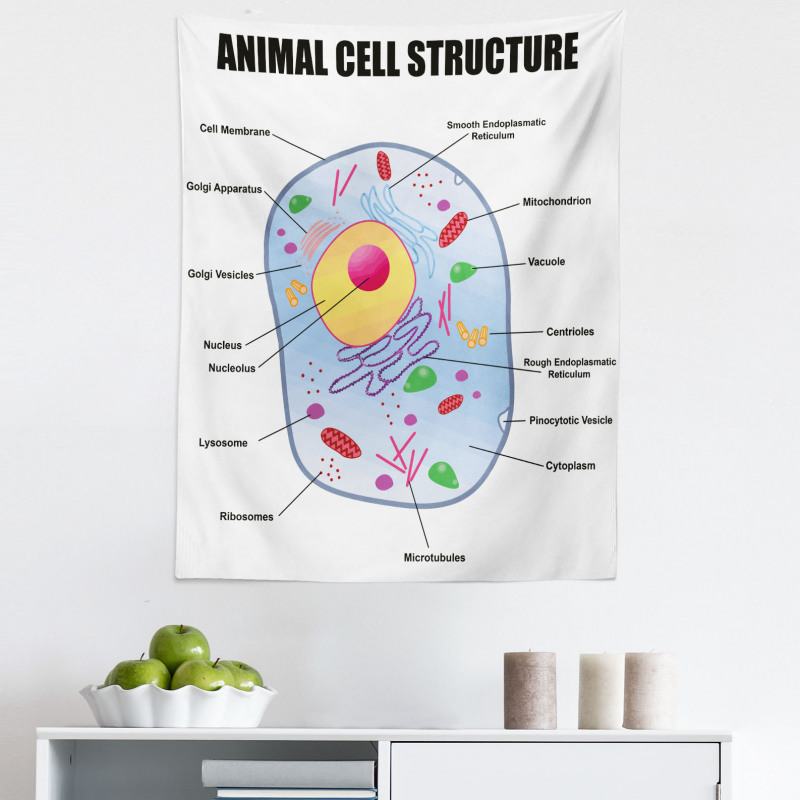 Öğretici Mikrofiber Duvar Halısı Hayvan Hücresi Yapısı