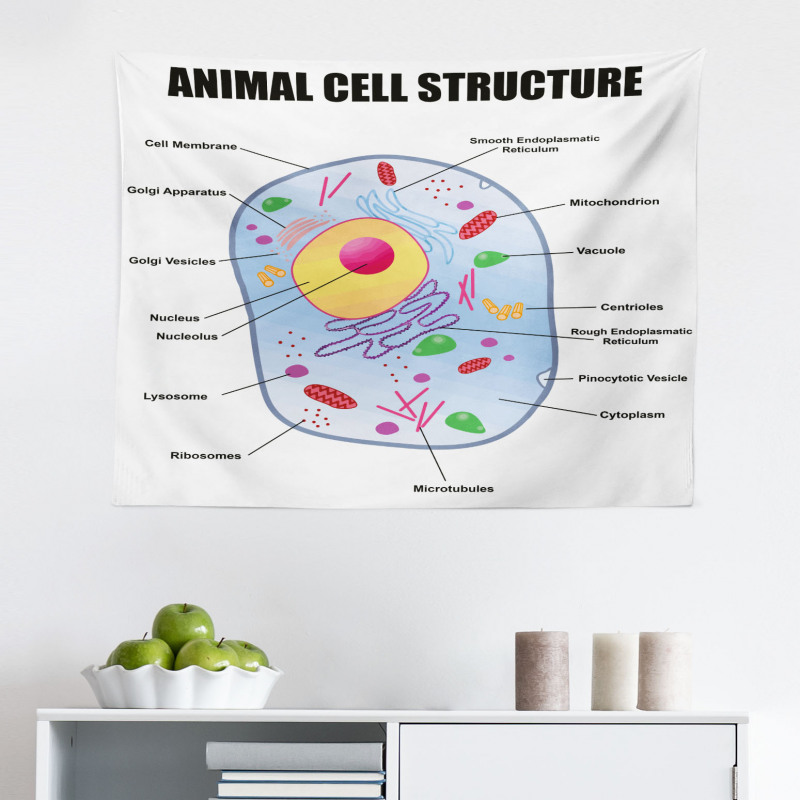 Öğretici Mikrofiber Geniş Duvar Halısı Hayvan Hücresi Yapısı
