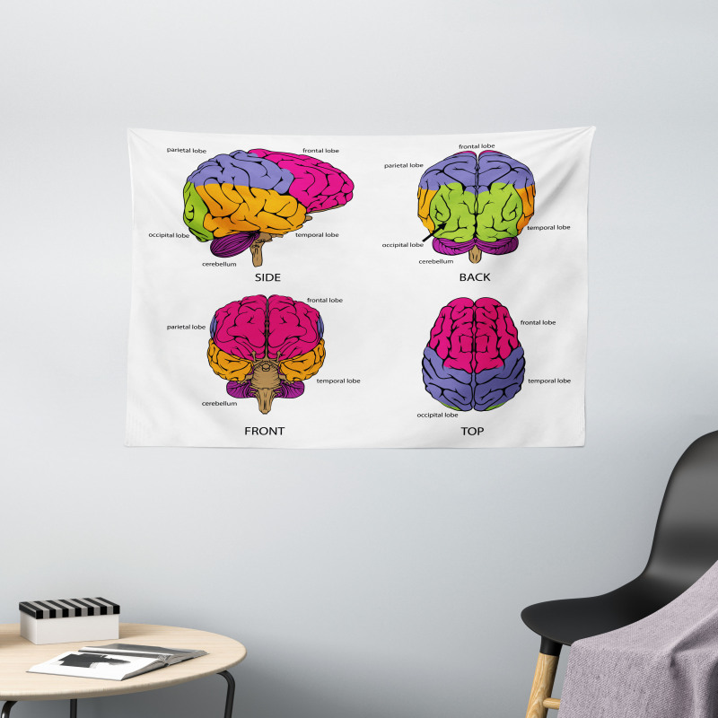 Human Brain Colors Wide Tapestry