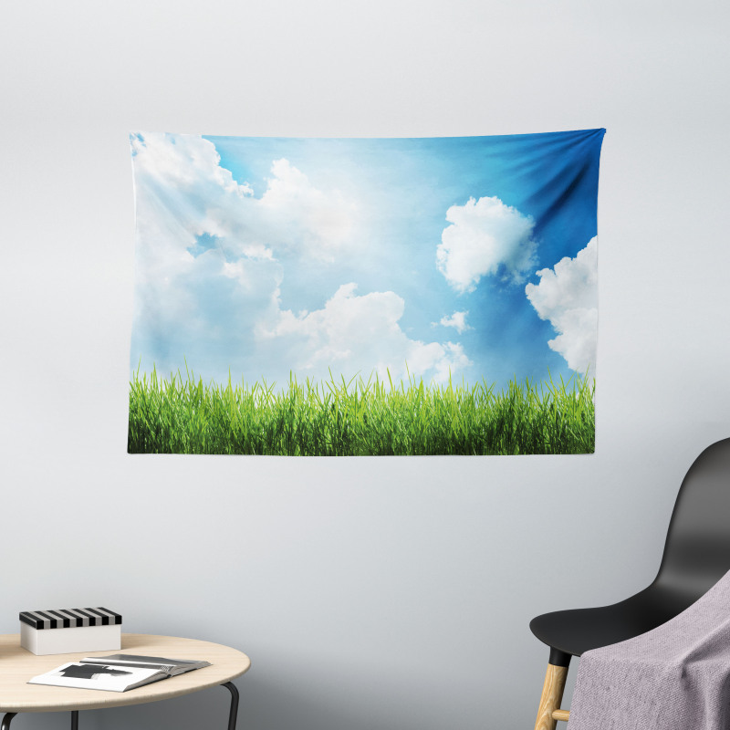 Sunny Day Grass Clouds Wide Tapestry