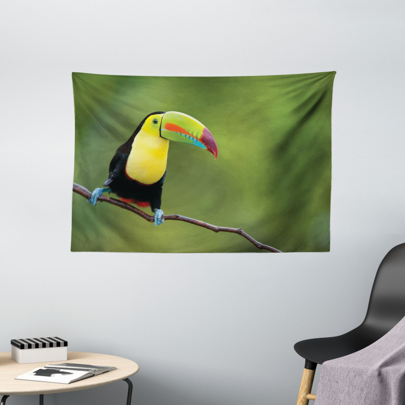 Keel Billed Toucan Wide Tapestry