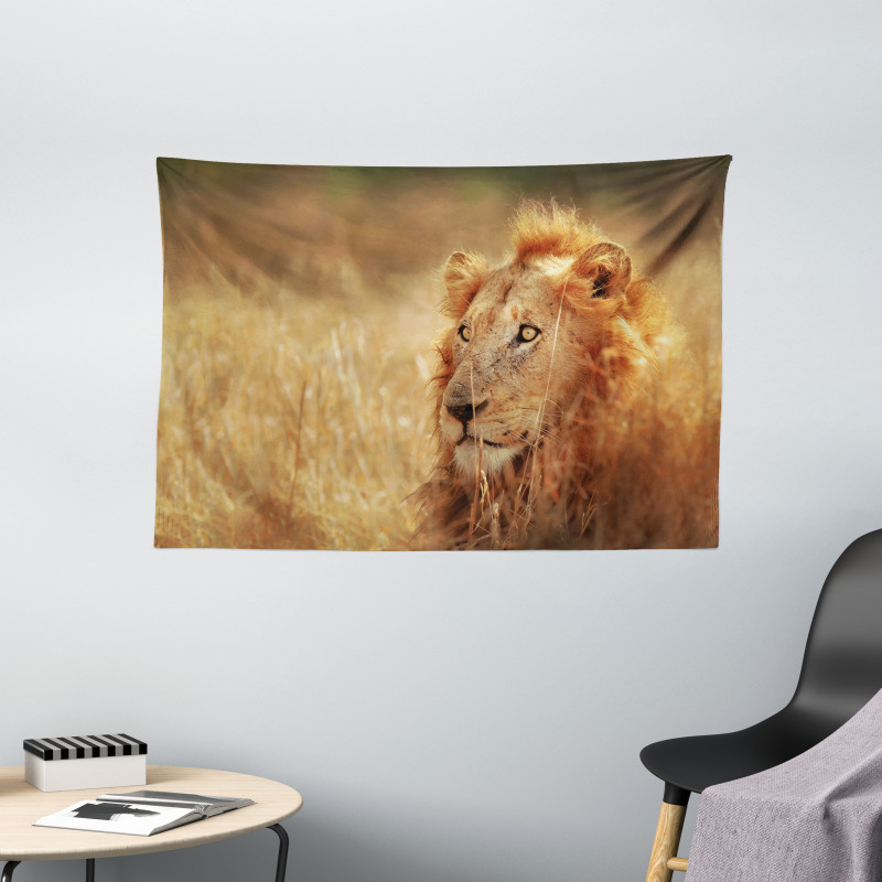 Male Lion Grass Field Wide Tapestry