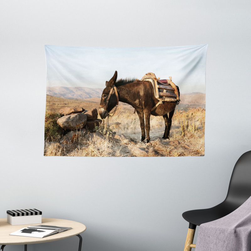 Greek Donkey in Mountains Wide Tapestry