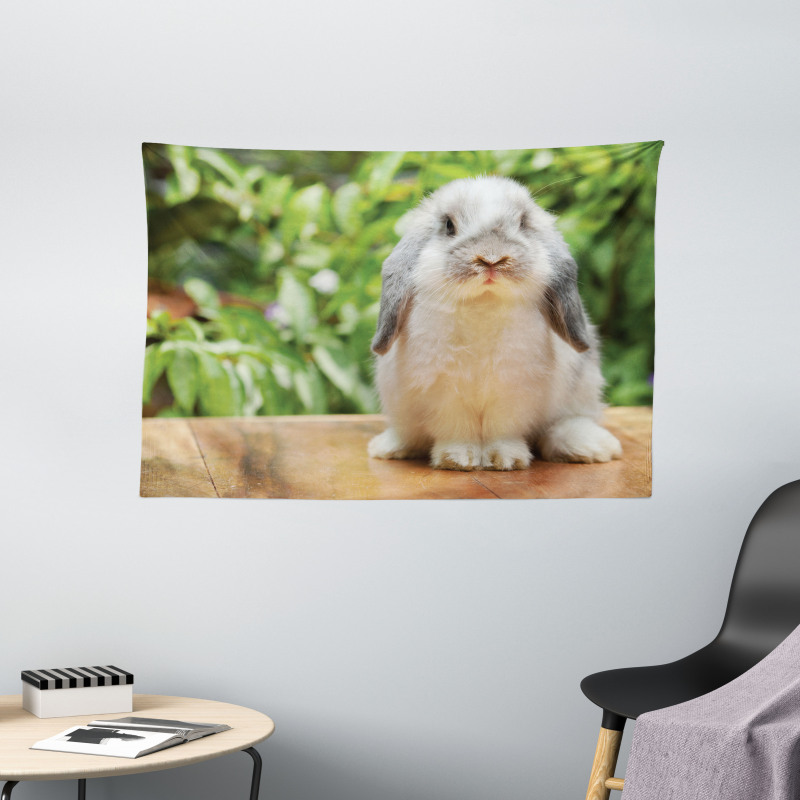 Photo of Holland Lop Rabbit Wide Tapestry