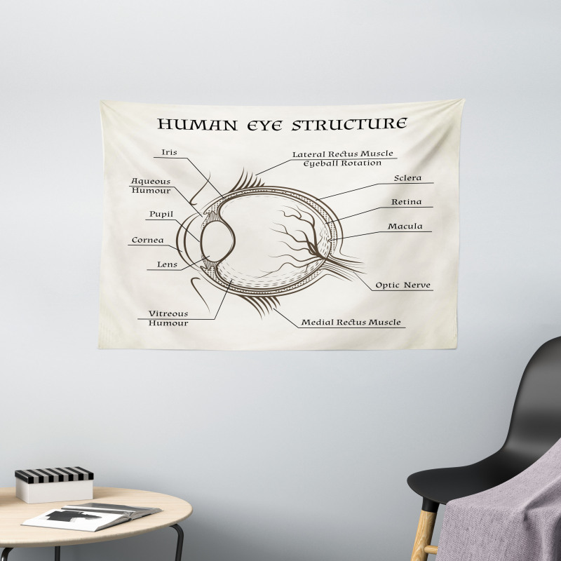 Structure of the Human Eye Wide Tapestry