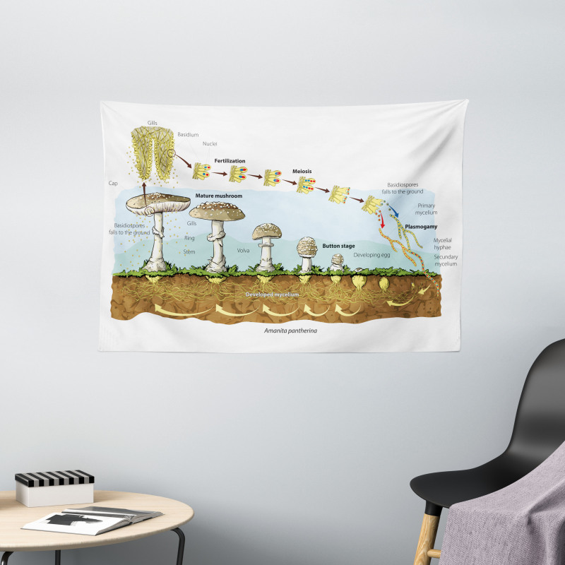 Life Cycle of Mushrooms Wide Tapestry