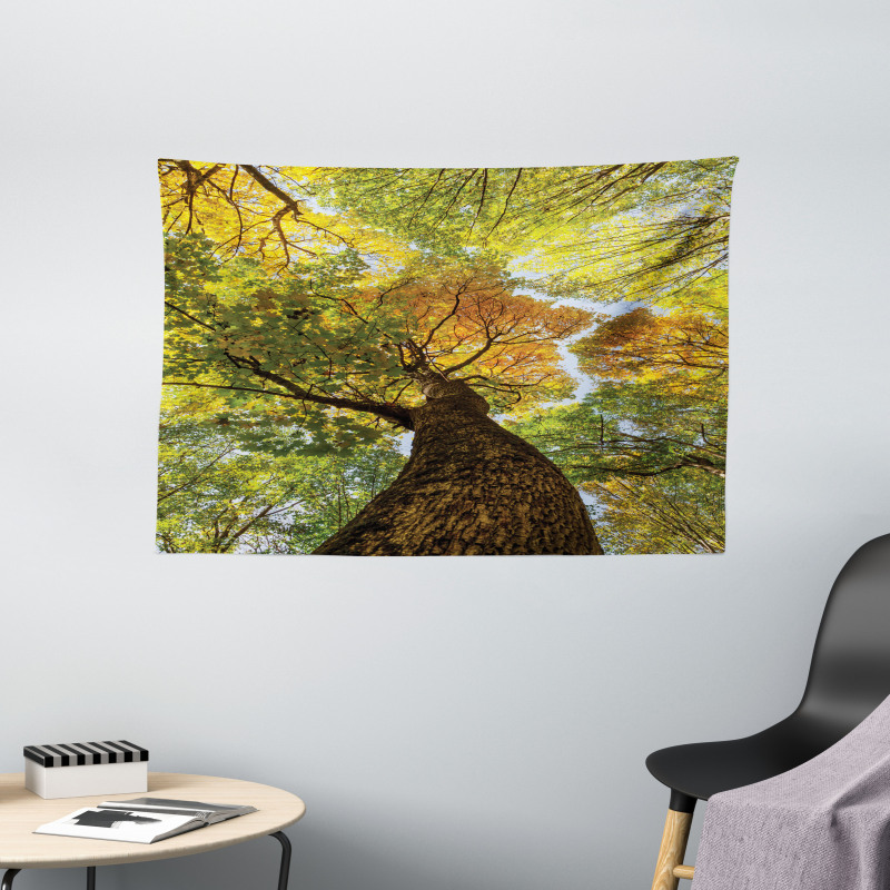 Autumn Tree of Nature Photo Wide Tapestry