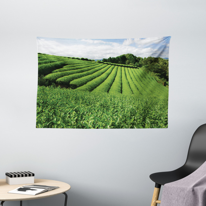 Sunny Landscape Tea Fields Wide Tapestry