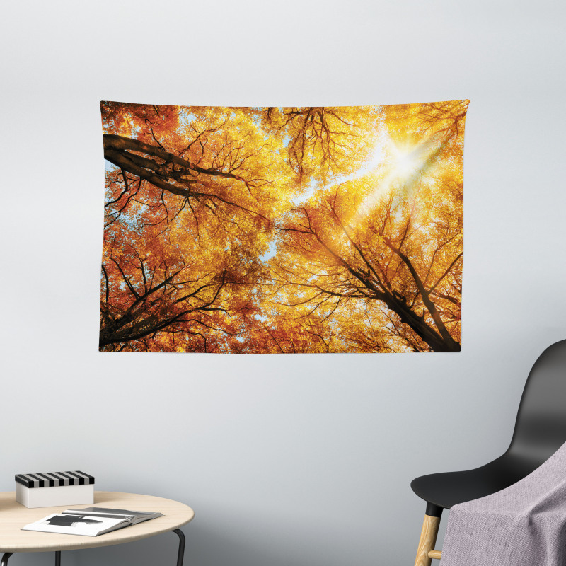 Autumn Sunbeams Forest Wide Tapestry