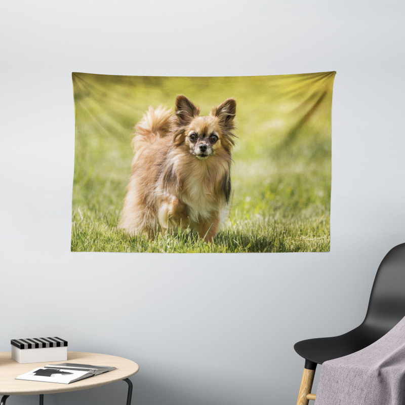 Long Haired Small Dog Wide Tapestry