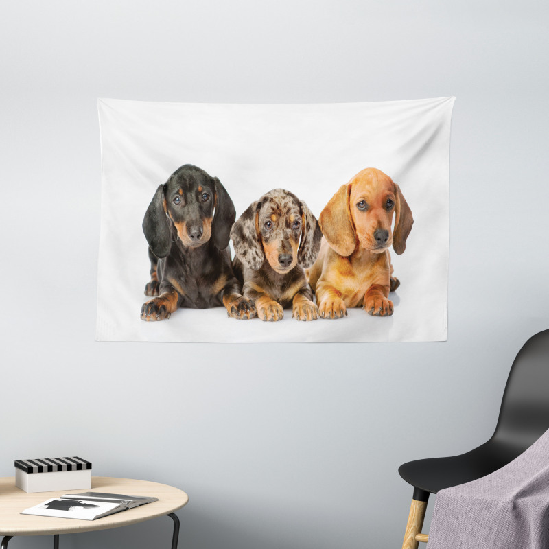 Different Color Dogs Lays Wide Tapestry