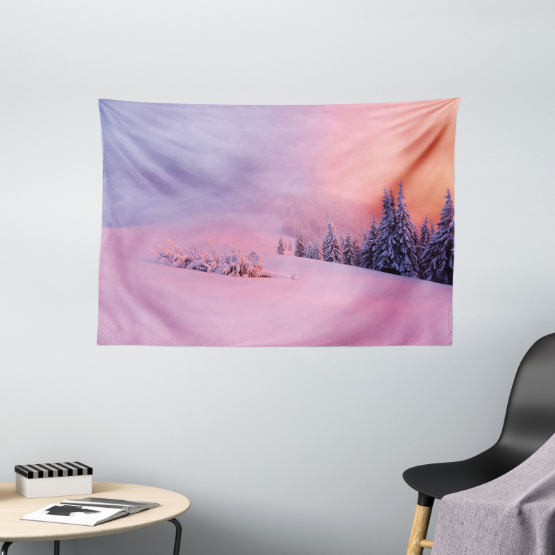 Winter Scenery Wide Tapestry