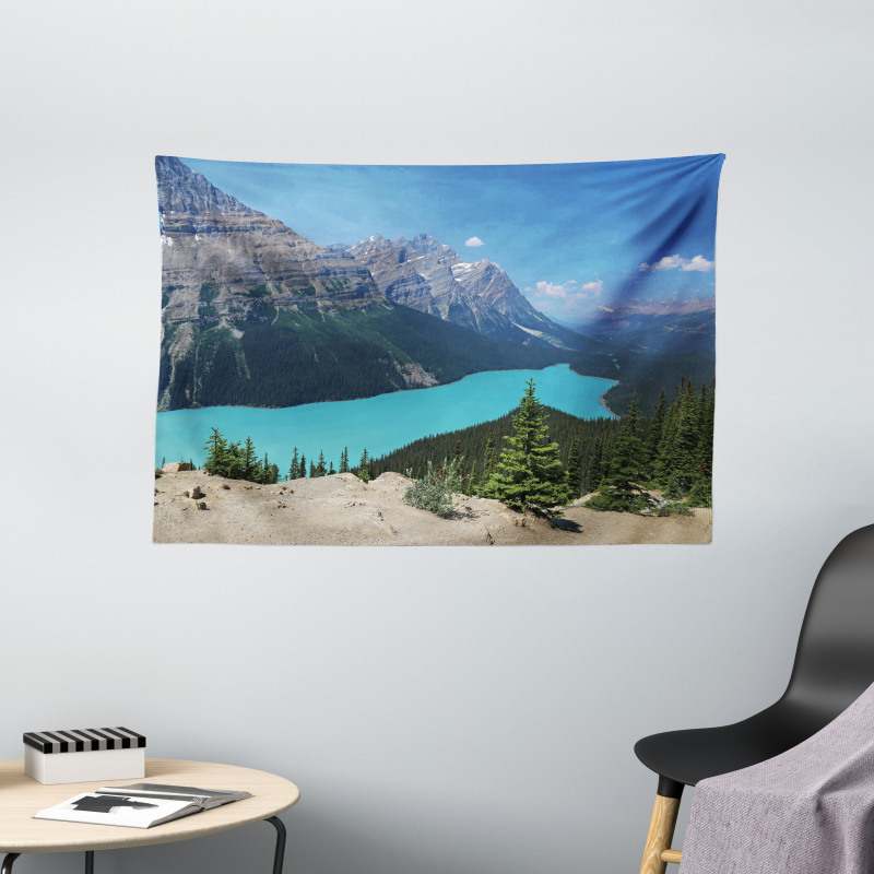 Aerial Vista Peyto Lake Wide Tapestry