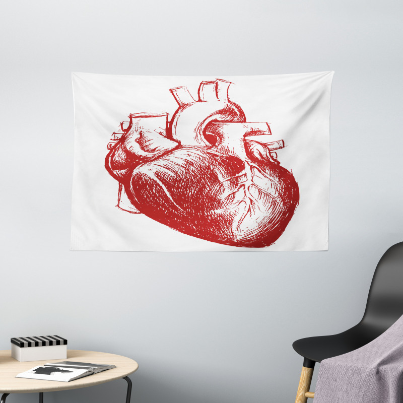 Sketch of Cardio Organ Wide Tapestry