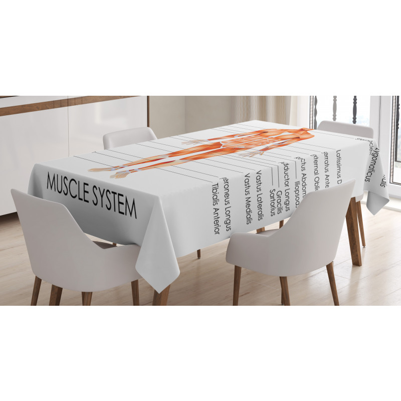 Biology Muscle System Tablecloth