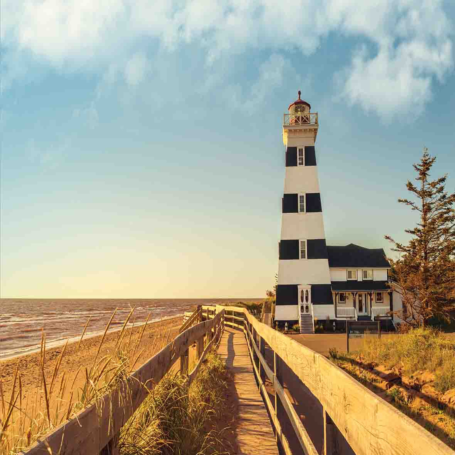 Strand Bettwäsche Set Leuchtturm Meereswellen - Bild 3 von 7