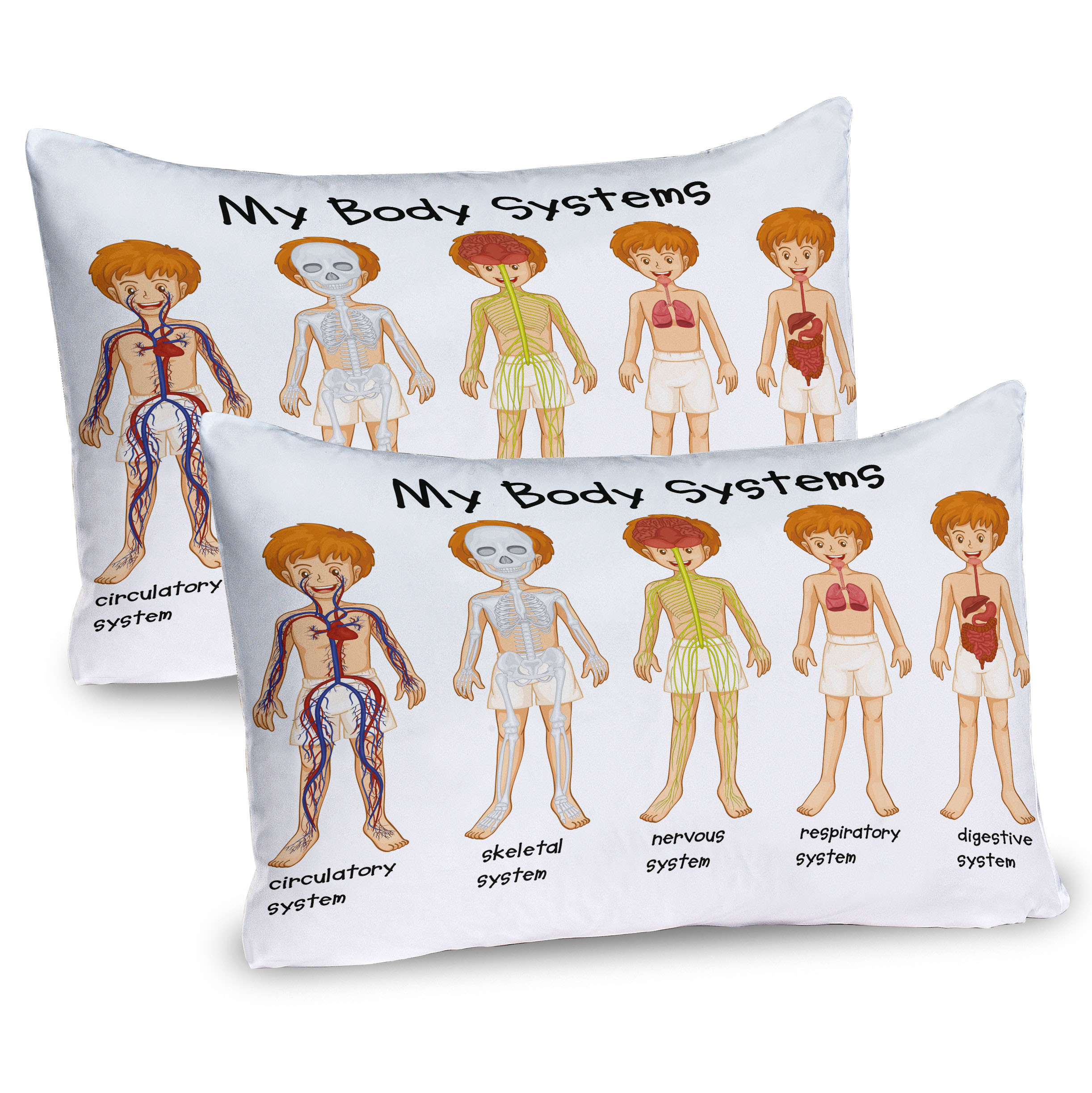 Menschliches Nervensystem 2 Teiliges Kissenbezugs Set 40x80cm